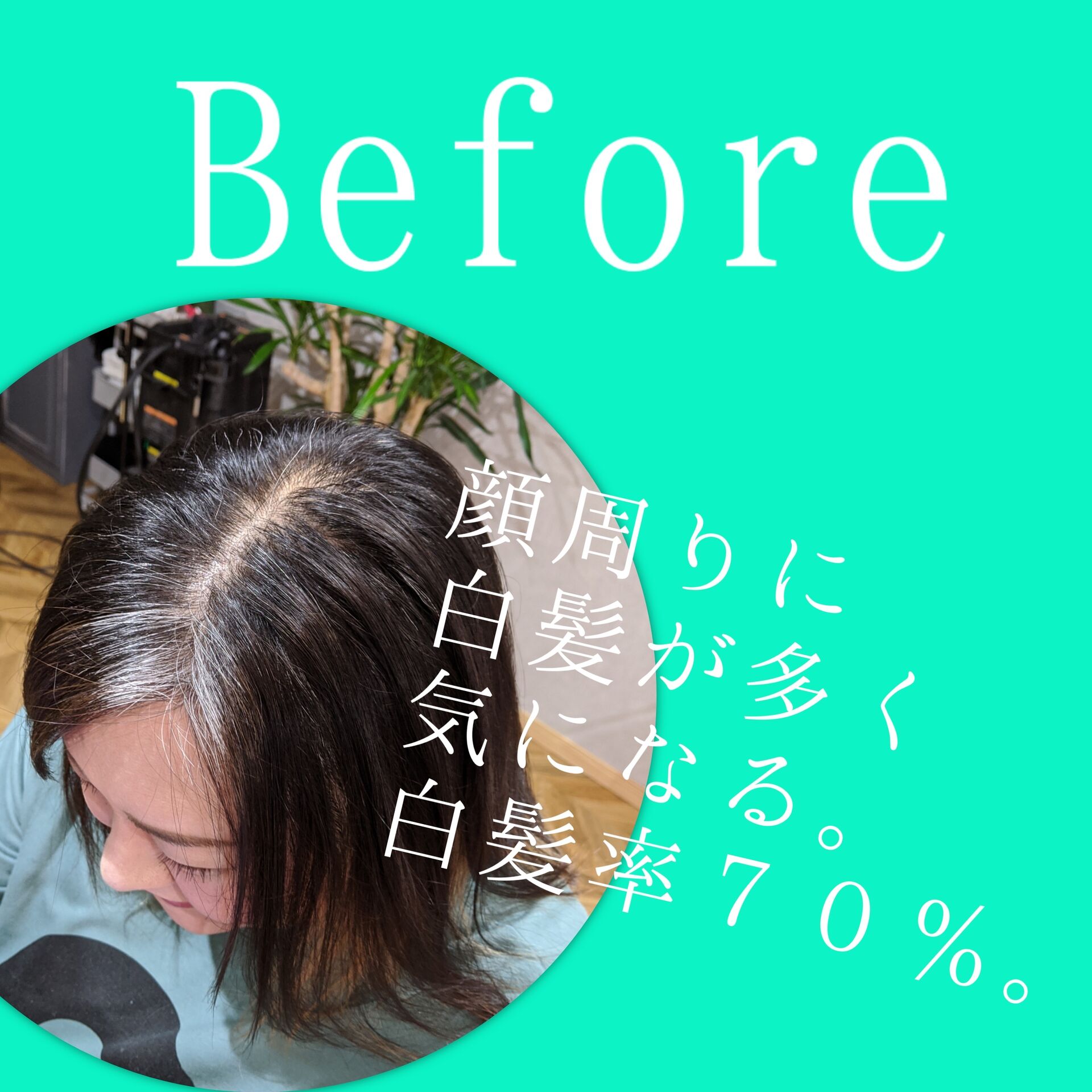 A50A3F73-E235-4128-8BD8-738067002D5A